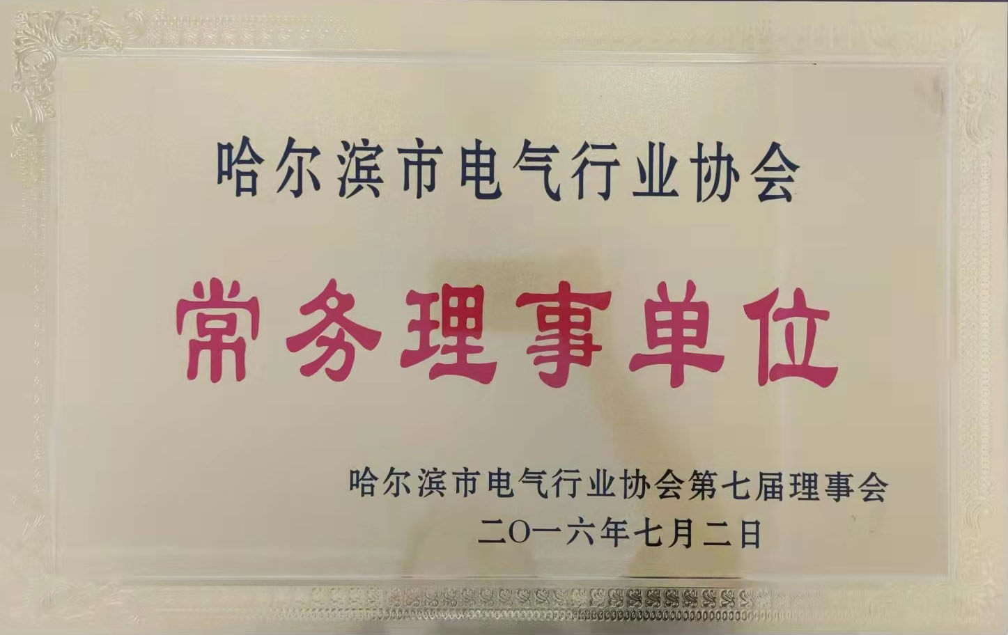 哈爾濱市電氣行業(yè)協(xié)會《常務(wù)理事單位》